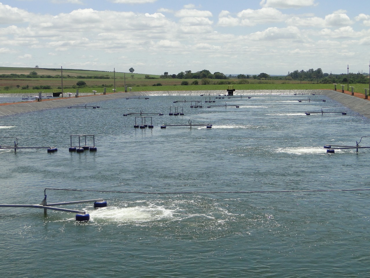 Aeradores em operação em lagoa