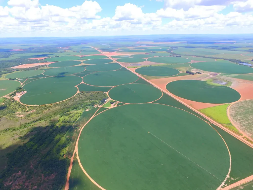 Irrigação inteligente e eficiente: conheça as soluções da HIGRA para transformar o uso da água no campo 2 Irrigação inteligente e eficiente: conheça as soluções da HIGRA para transformar o uso da água no campo Imagem ilustrativa de pivôs de irrigação