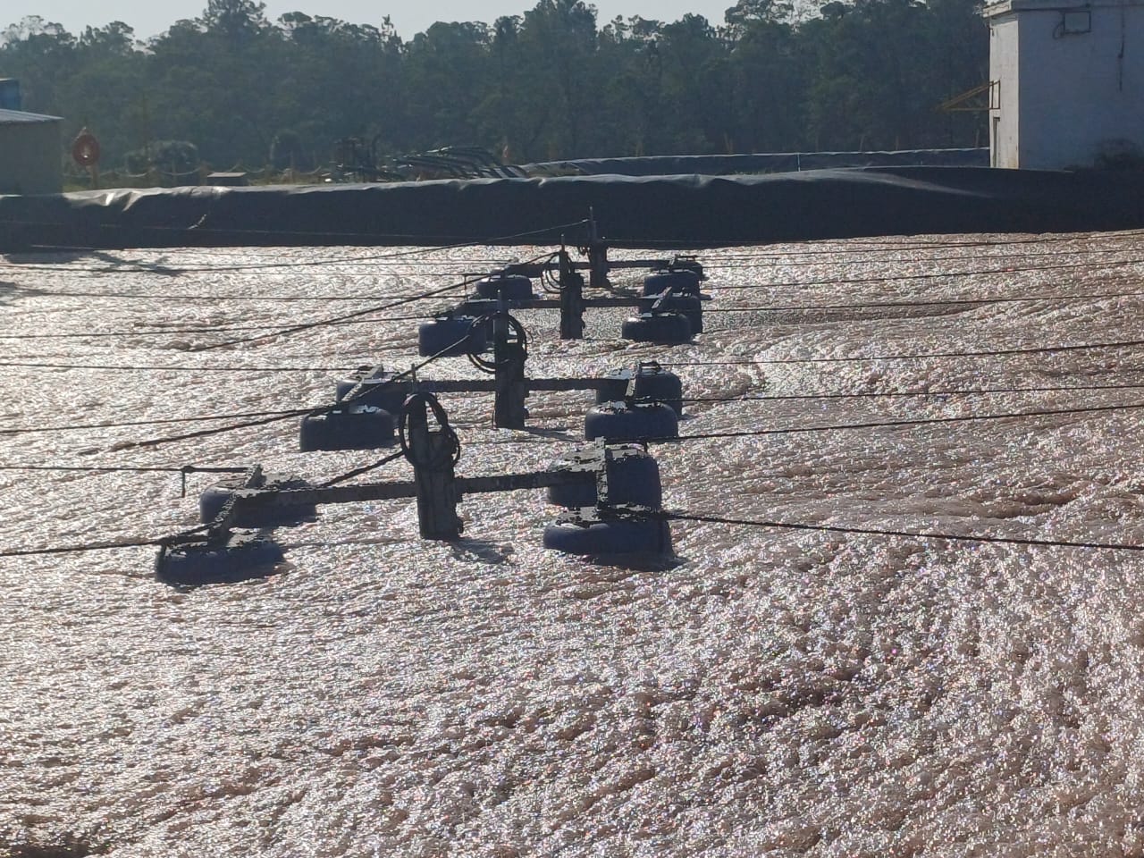 Misturador para tanque de efluentes