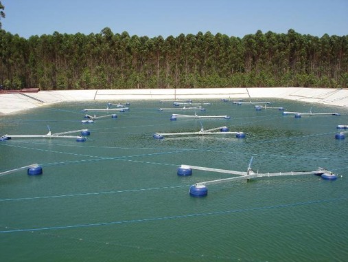 Aerador de Superfície Ciclone HIGRA instalado em lagoa facultativa rasa de tratamento de efluentes